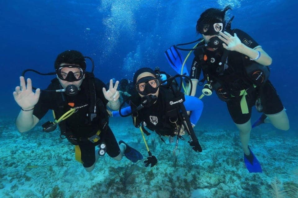 Cozumel 2-Tank Diving Tour with Lunch & Transfers Gallery Image 1