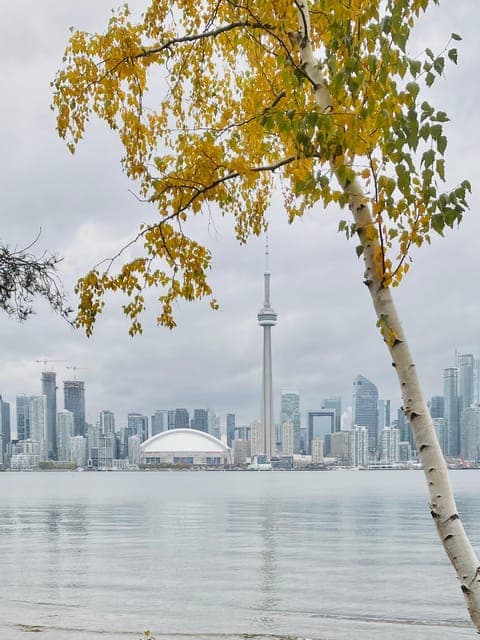 43. Toronto Islands Fall Walking Tour - Image 43