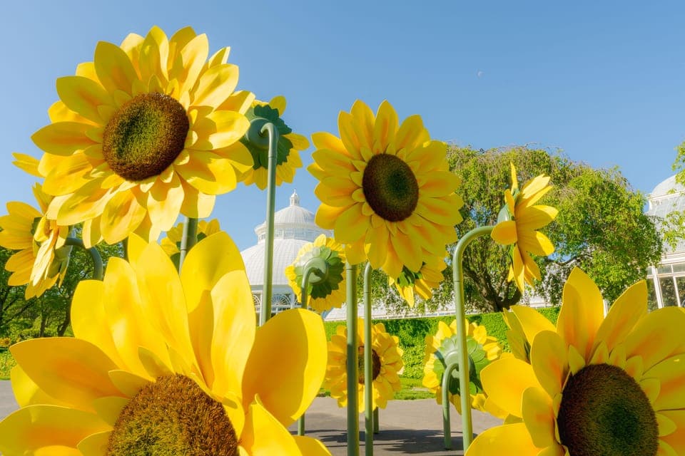 New York Botanical Garden Pass Gallery Image 4