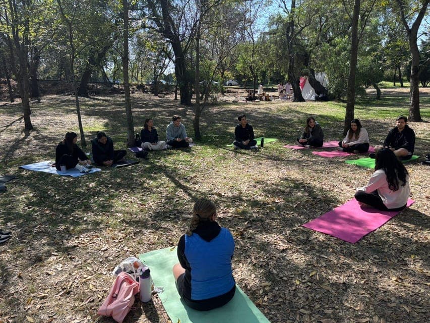 CDMX: Nature Therapy Guided Session Gallery Image 3