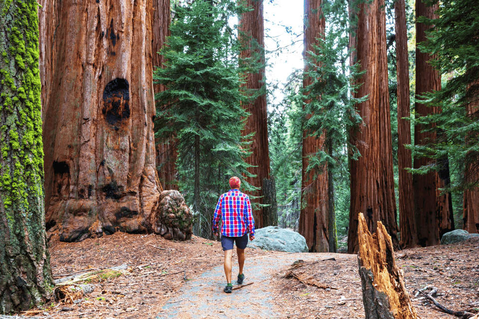 Muir Woods, Point Reyes, and Meadery Tour Gallery Image 4
