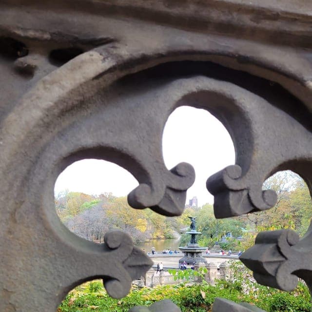 Guided Economy Pedicab Tour in Central Park Gallery Image 2