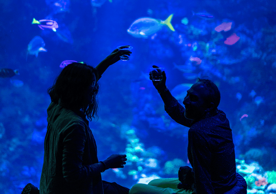 California Academy of Sciences NightLife Plus Admission Gallery Image 2