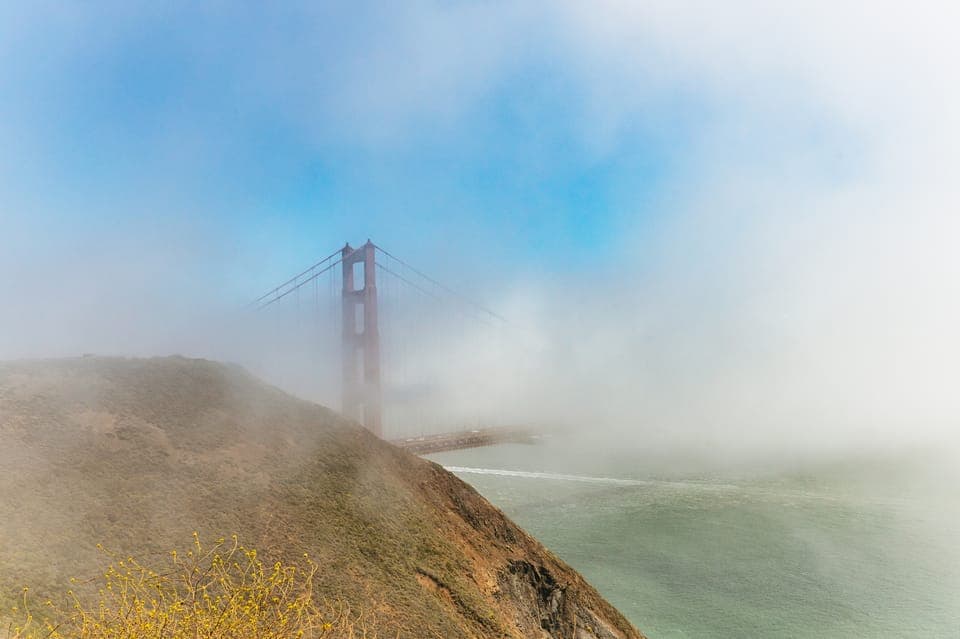 Muir Woods and Sausalito Small-Group Tour Gallery Image 4