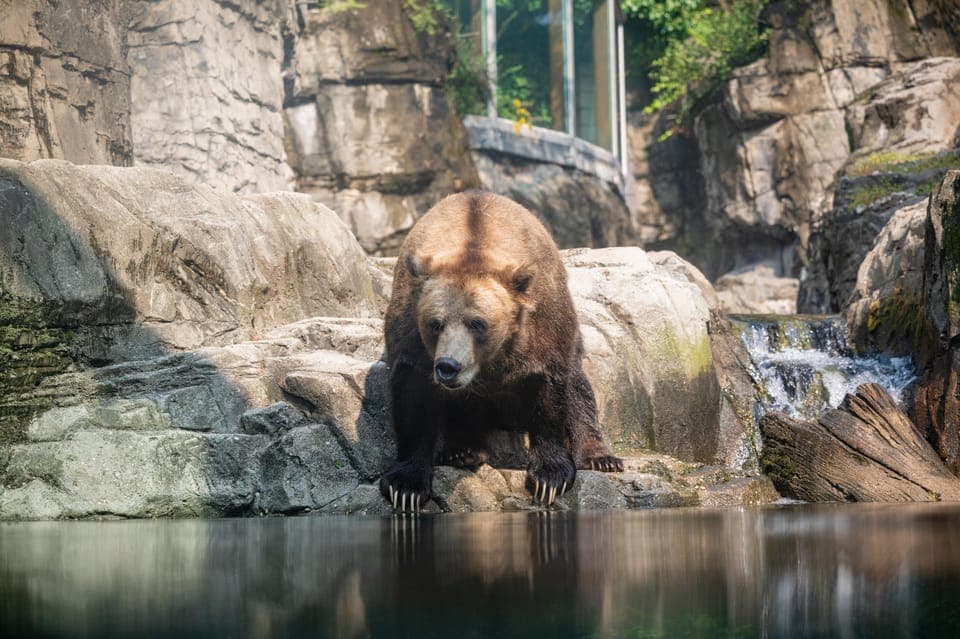 Central Park Zoo Entry Ticket Gallery Image 2