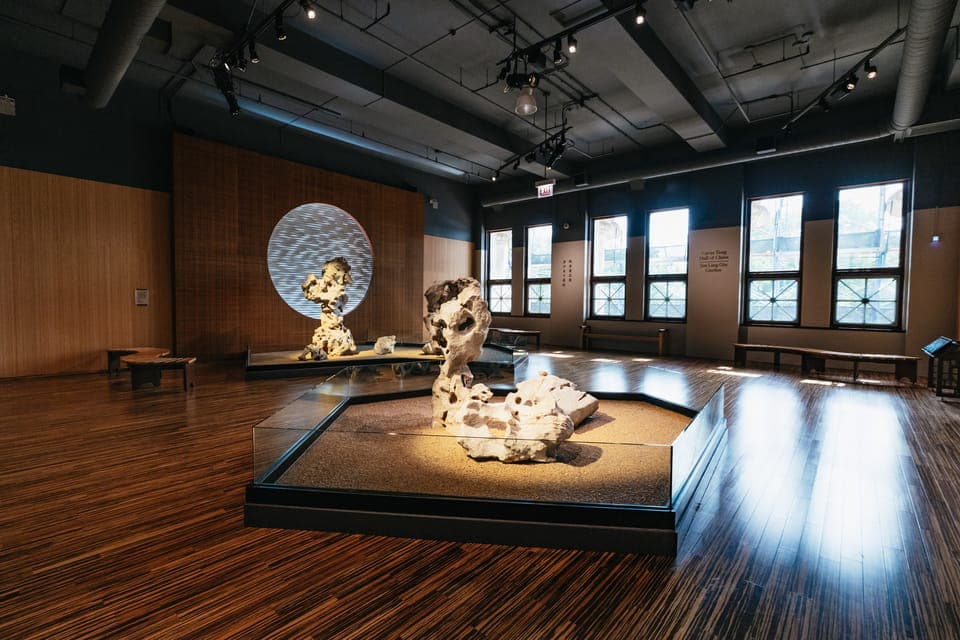 14. Field Museum of Natural History Ticket or VIP Tour - Image 14
