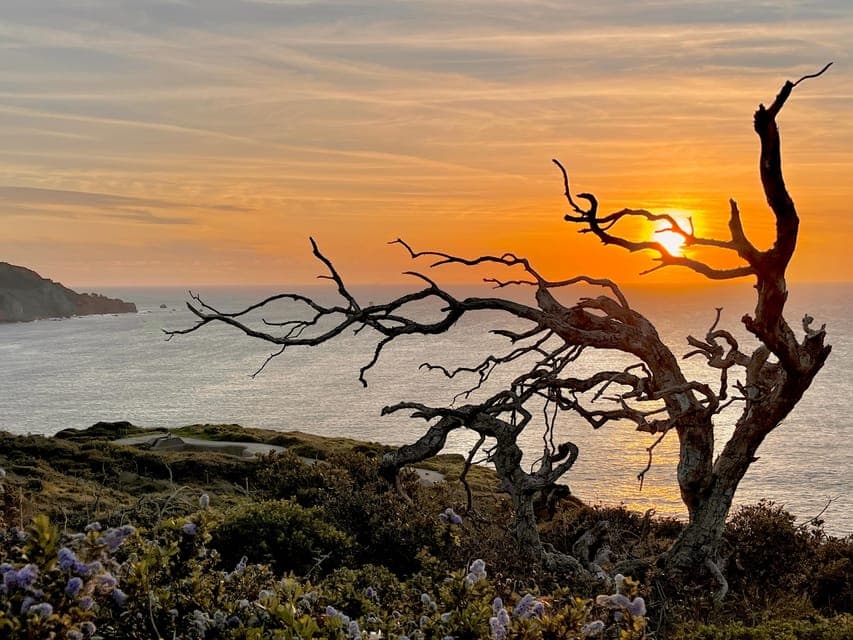 CUSTOM PHOTO ADVENTURES TO THE BAY AREA'S MOST EPIC SCENERY Gallery Image 3