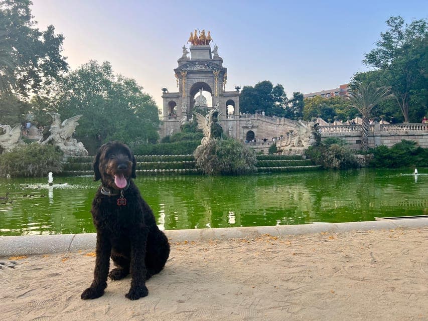 40. Hidden Gems Walking Tour with a Local & Dog - Image 40