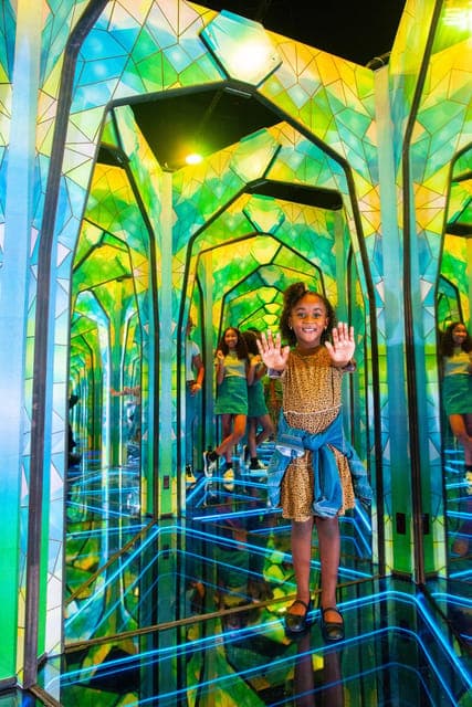 13. Ripley's Mirror Maze Experience - Image 13
