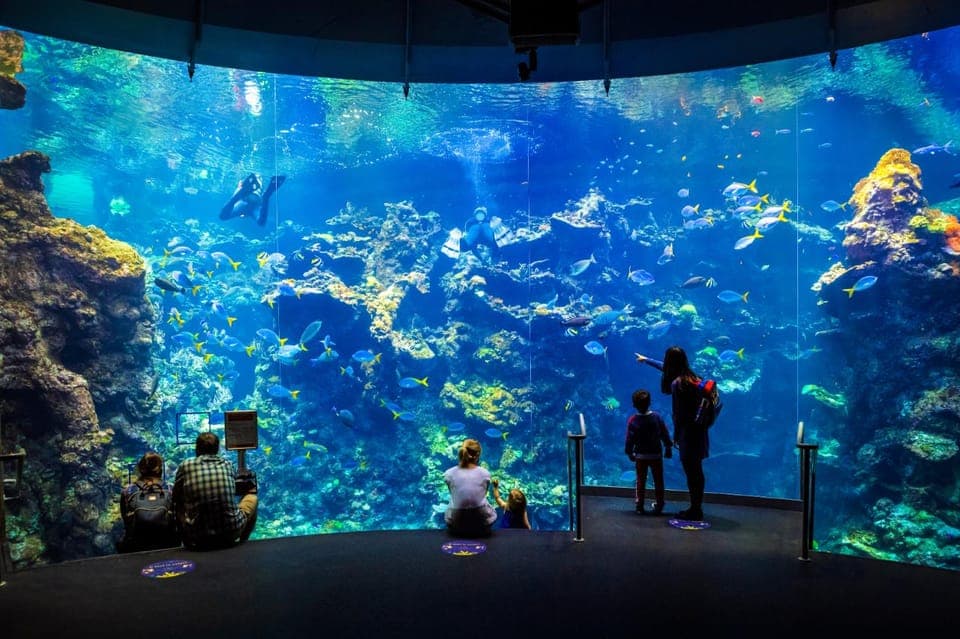 California Academy of Sciences Entry Ticket Gallery Image 3