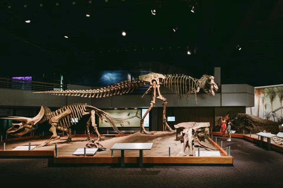 Full Day - Drumheller tour by Coach from Calgary Gallery Image 3