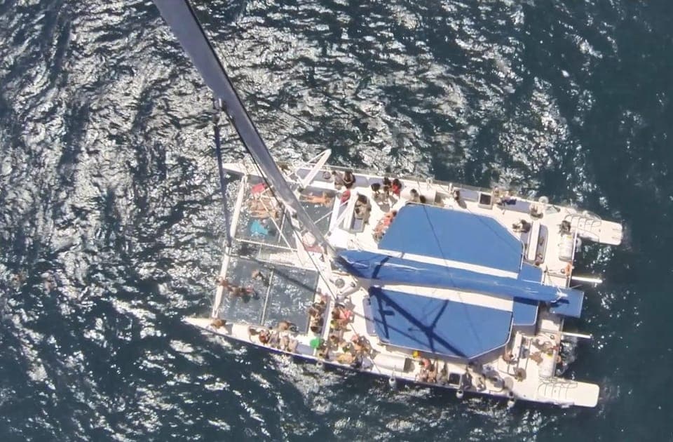 AFTERWORK Catamaran Cruise w/ Music & Drinks Gallery Image 4