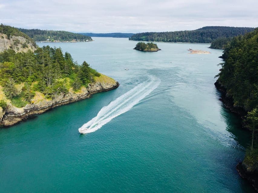 Whidbey Island Deception Pass + Winter Birding Trip Gallery Image 3
