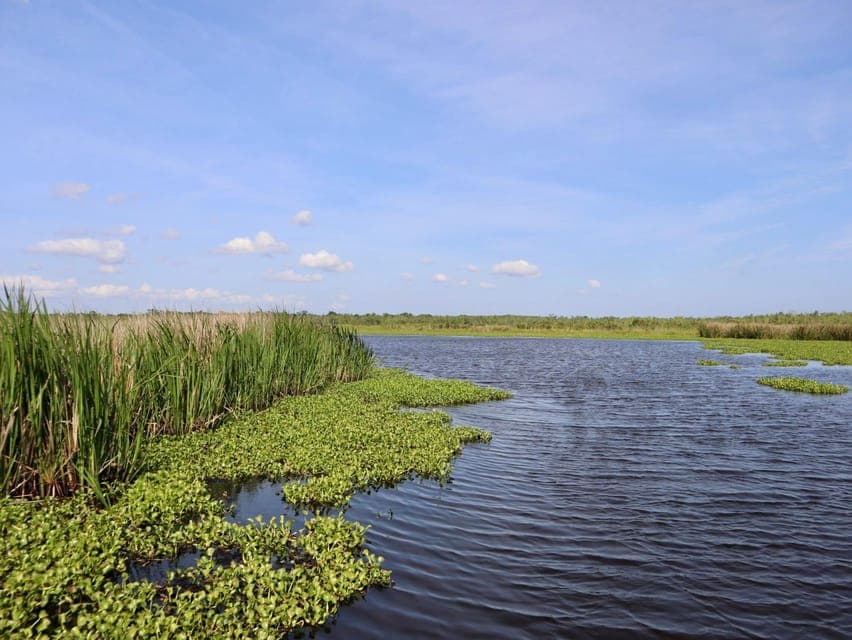 Oak Alley or Laura Plantation & Airboat Tour Gallery Image 4