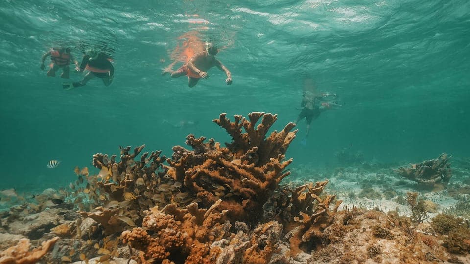 Cancun: Isla Mujeres Adults Only Party Catamaran with Drinks Gallery Image 3