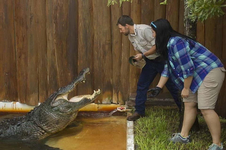 Gatorland Interactive Tour with Animal Trainer Gallery Image 1