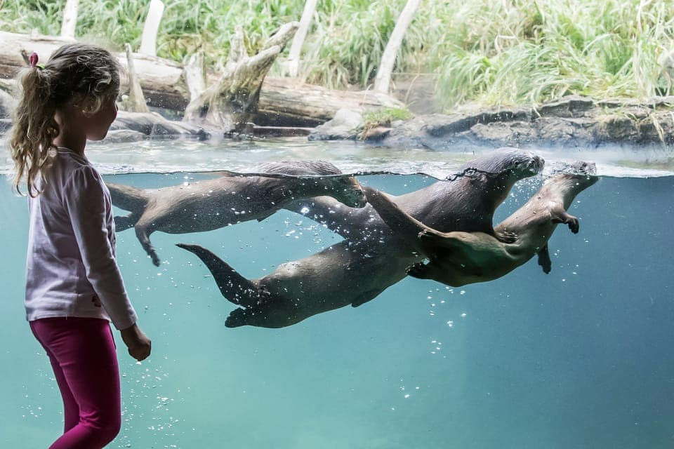 Seattle CityPASS®: Save up to 46% at 5 Top Attractions Gallery Image 1