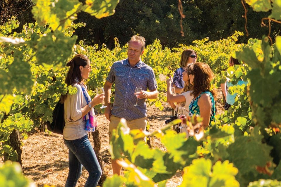 Half-Day Wine Country Tour with Wine Tastings - Image 1