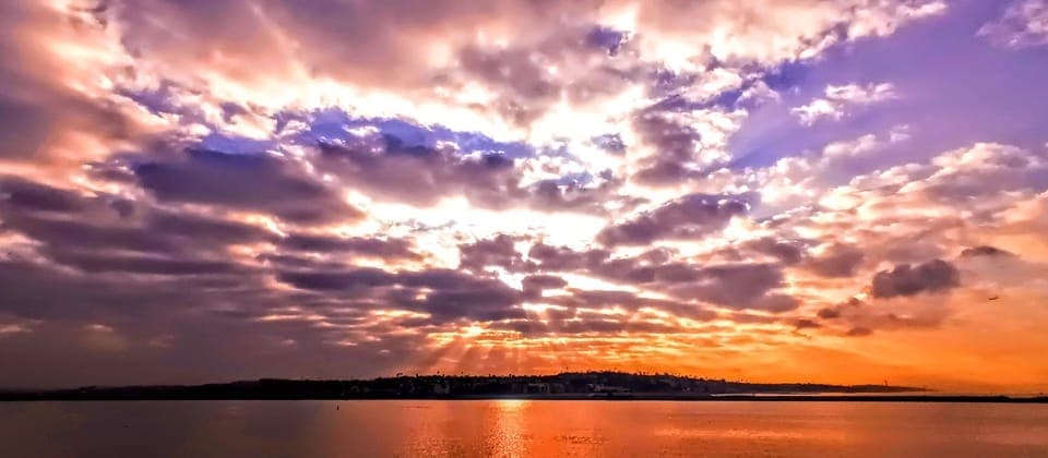 California Coastline Scenic Wildlife Photography Tour Gallery Image 4