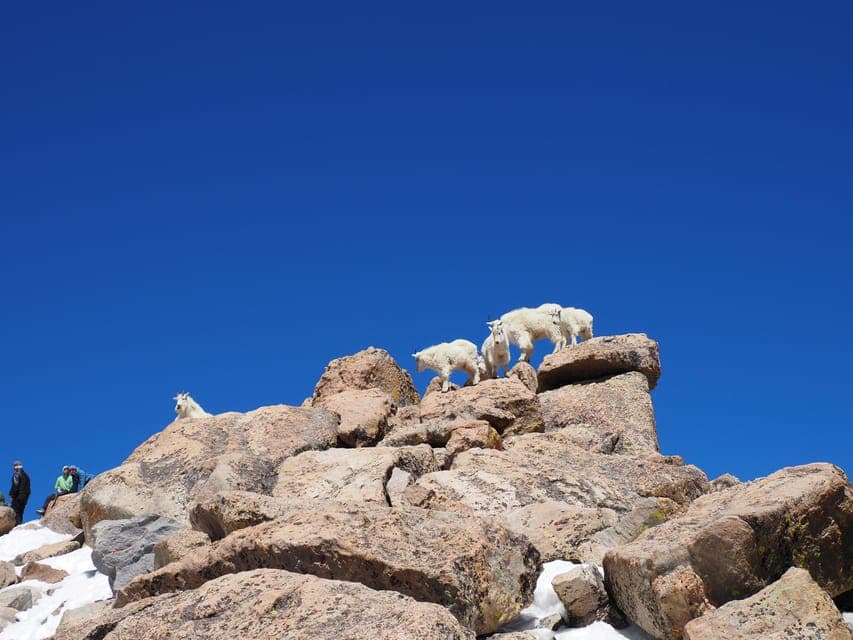 Trip to Mount Blue Sky Summit and Glacial Lake Gallery Image 4