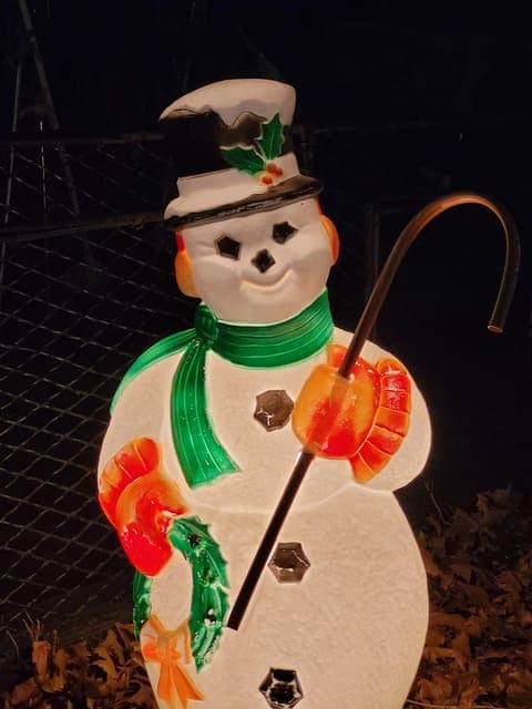 Dyker Heights Christmas Tour: Magic of Christmas in New York Gallery Image 2