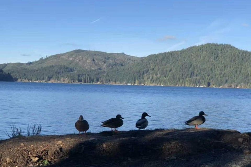 Olympic National Park Small Group Day Tour w/ State Ferries Gallery Image 2