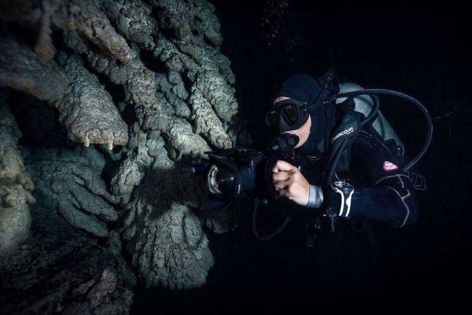 From Cancun: Fast Boat Cozumel Diving Experience Gallery Image 2