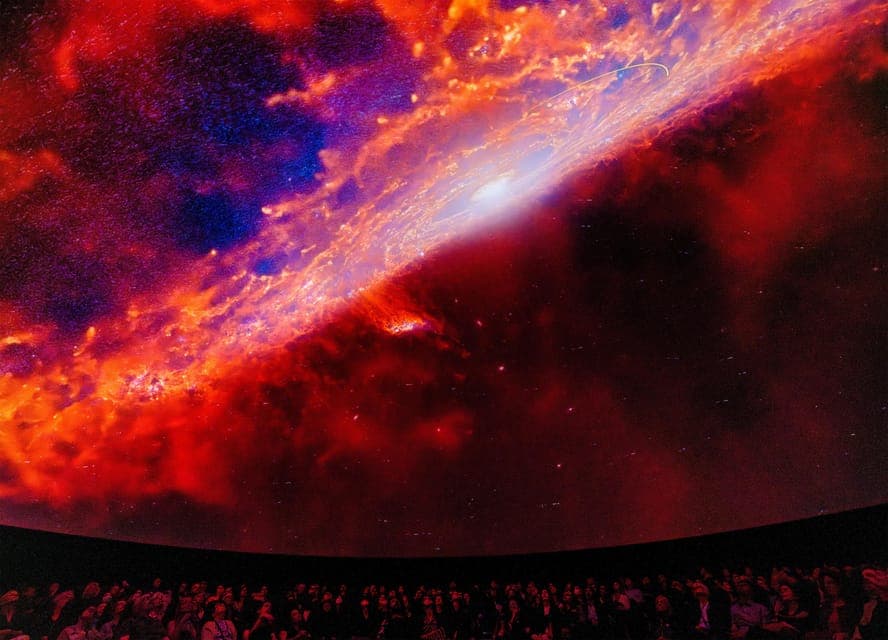 American Museum of Natural History Ticket Gallery Image 2