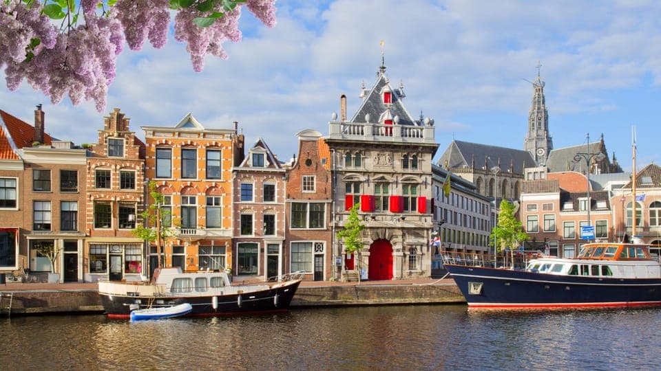 Amsterdam to Haarlem: Private Day-Trip Experience Gallery Image 3
