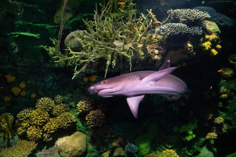 New York Aquarium Entry Ticket Gallery Image 2