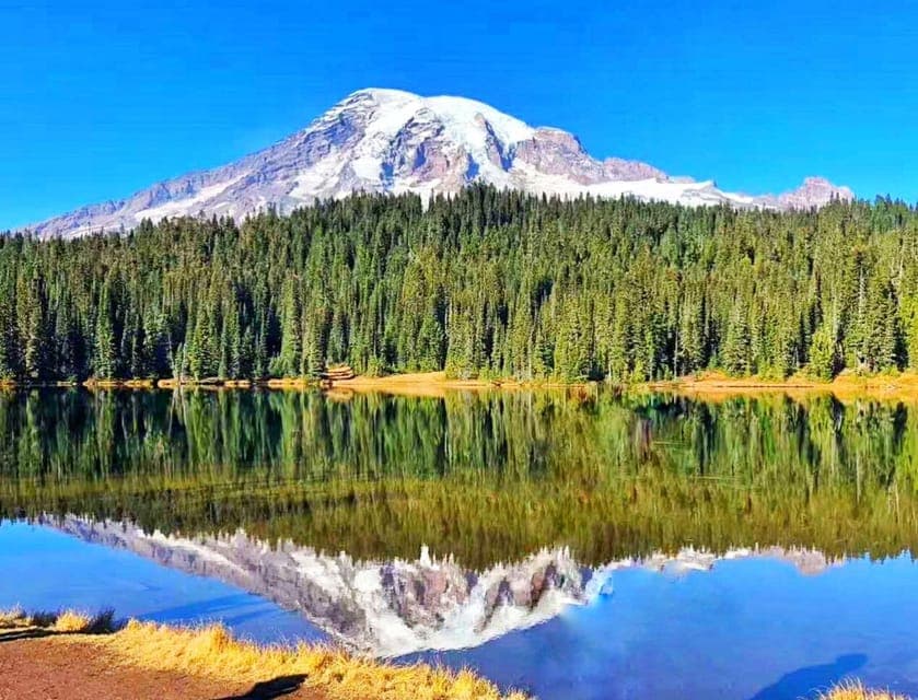 Mount Rainier Guided Day Tour Gallery Image 2