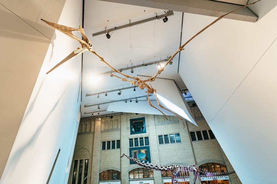 Royal Ontario Museum Admission Ticket Gallery Image 2