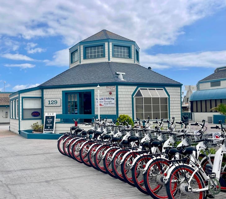 Beach E-Bike Ride Redondo Beach to Santa Monica Gallery Image 4