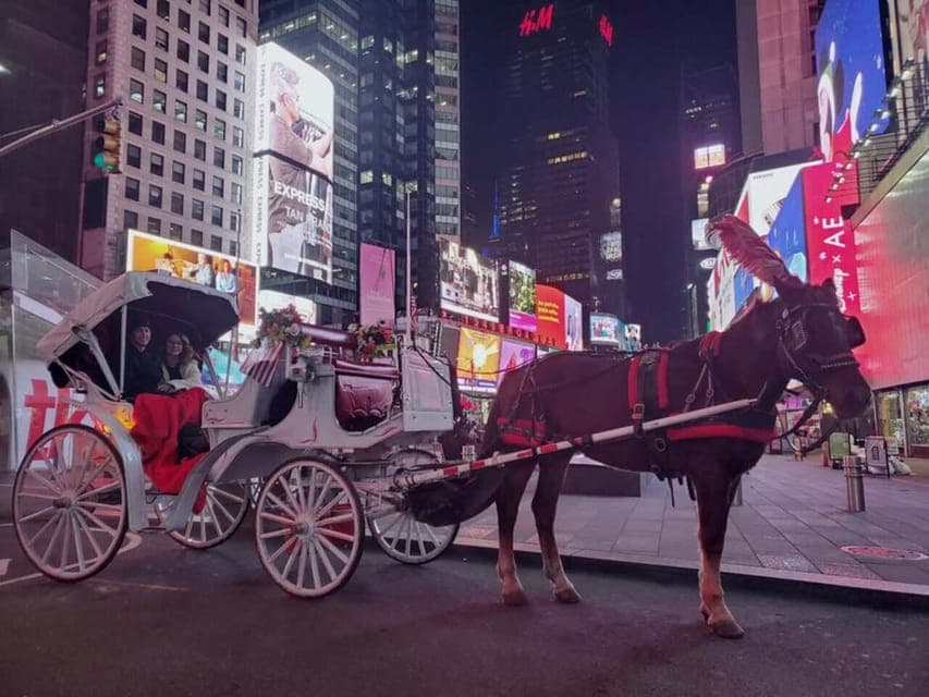 Central Park Christmas Lights Horse-Drawn Carriage Ride Gallery Image 1