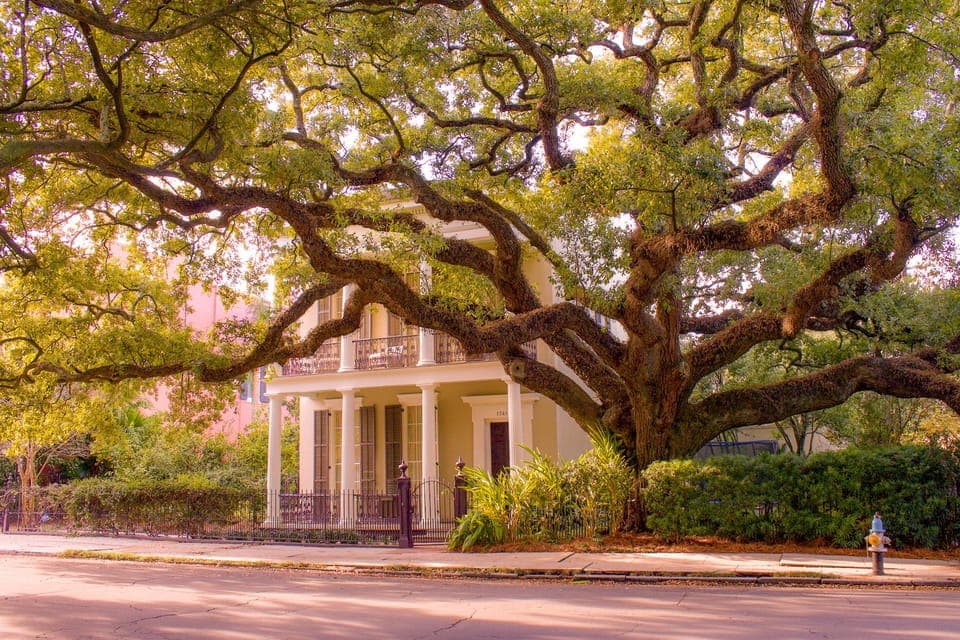 New Orleans Garden District Tour Gallery Image 1