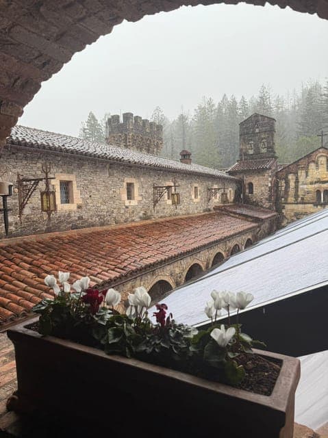 Napa Valley Winery Tour Gallery Image 4