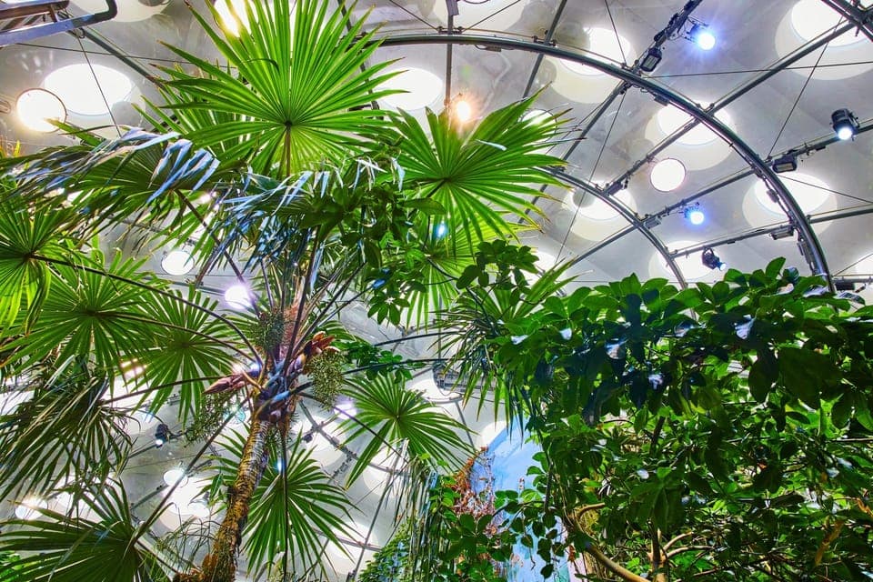 San Francisco California Academy of Sciences with Admission Gallery Image 3