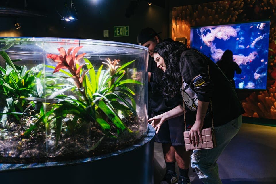 LA: Aquarium of the Pacific Skip-the-Line Entry Gallery Image 2