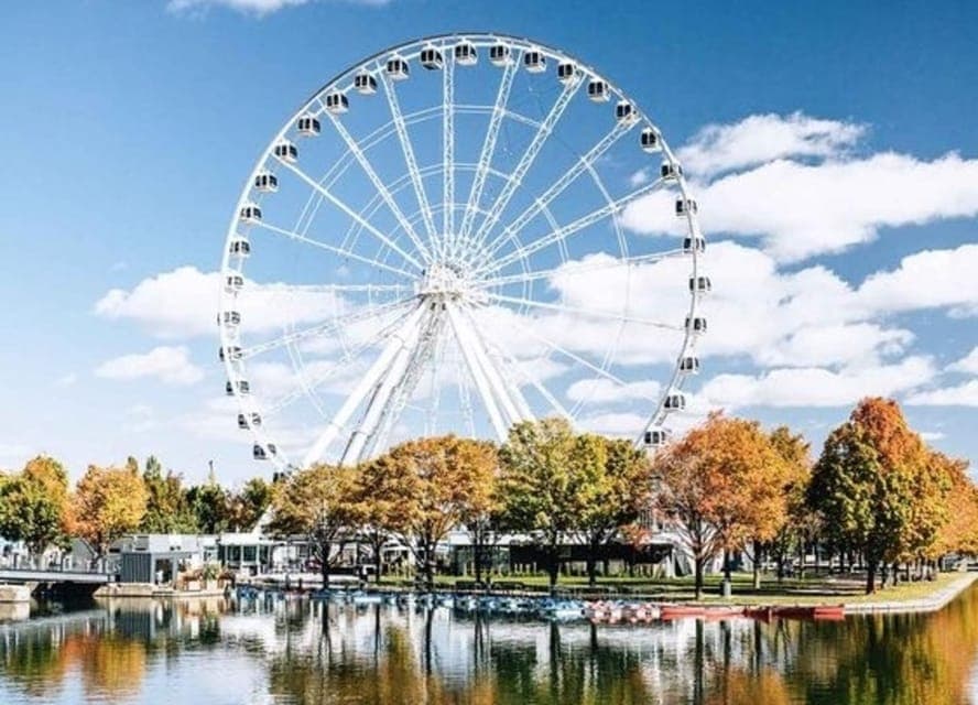 Street Art Walking Tour With A Guide Gallery Image 2