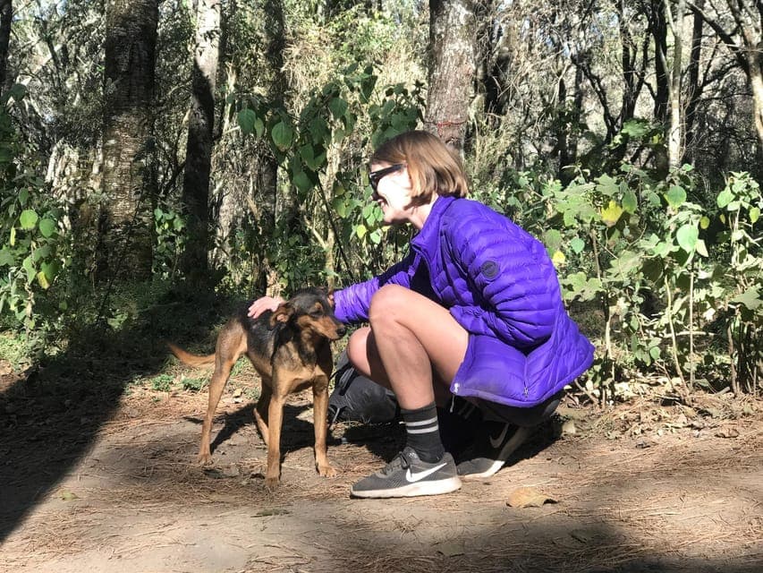 La Malinche Volcano: Hike to the Top and Explore Tlaxcala Gallery Image 4