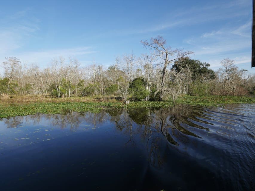 Airboat or Pontoon Boat Cruise with Transfers Gallery Image 3