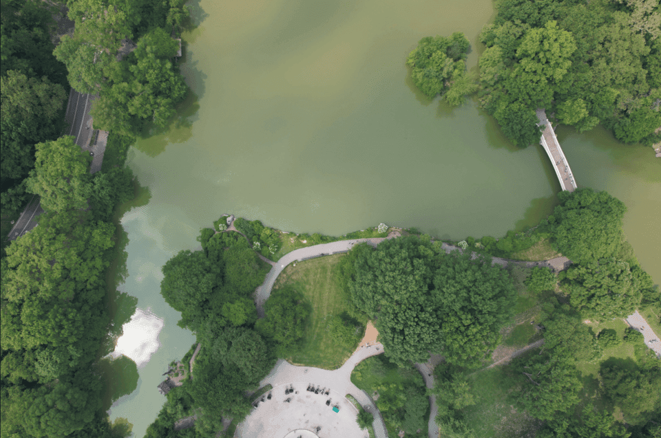 Official VIP Whole Central Park Horse Carriage Tour Gallery Image 4