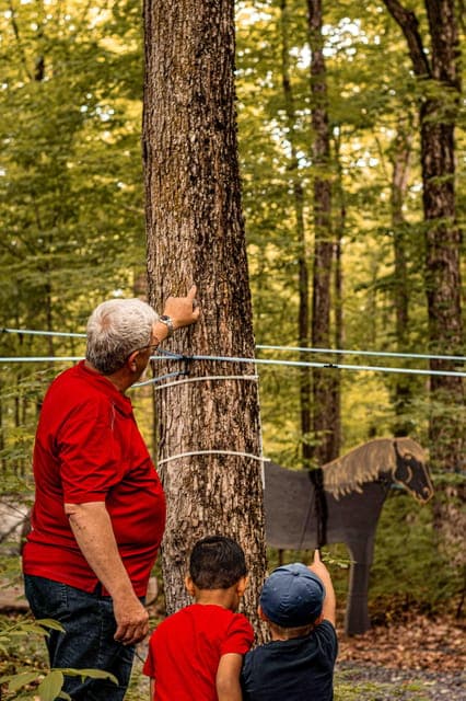 Quebec City (Lévis): self-guided sugar shack tour + meal + maple taffy Gallery Image 4