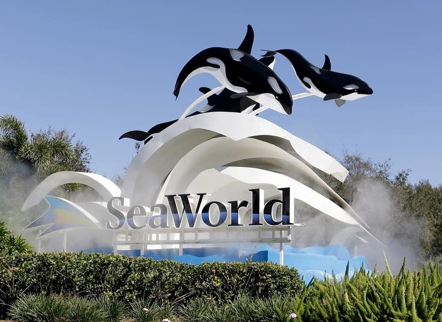SeaWorld Shuttle Service Gallery Image 1