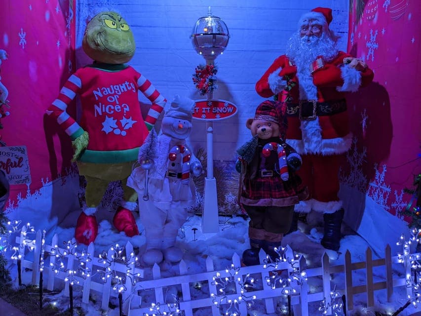 Christmas Light Night tour Gallery Image 2