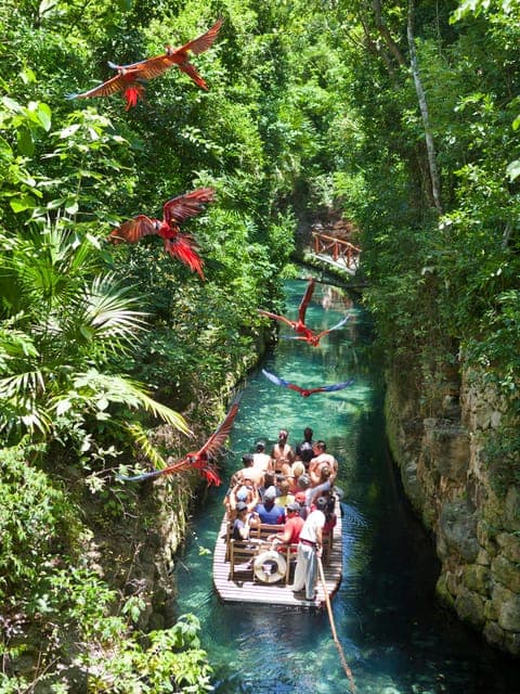 From Riviera Maya: Complete Combo to Xcaret Park! Gallery Image 2