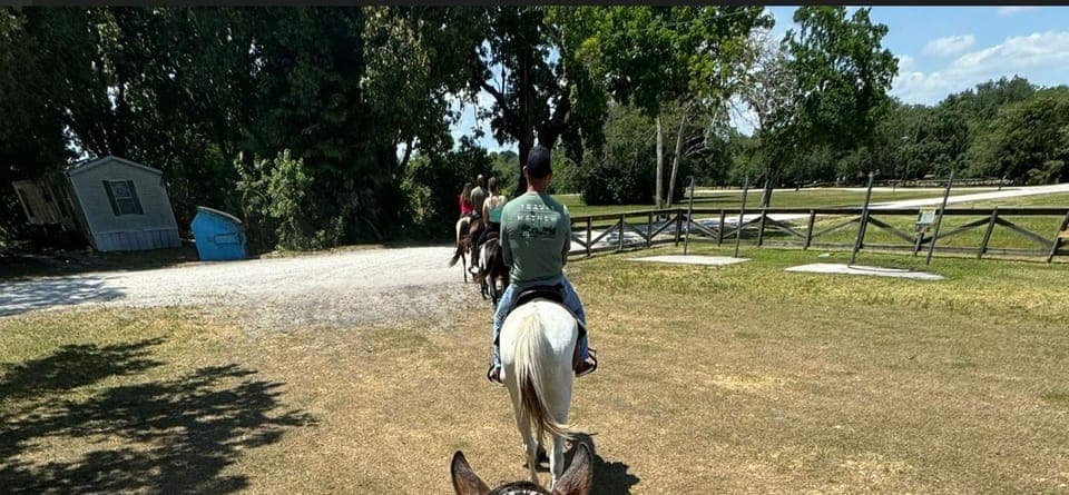 Harmony Horse Riding of Miami Gallery Image 2