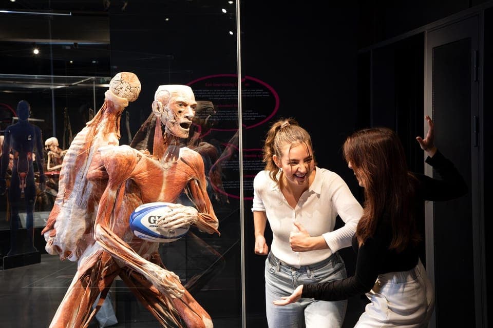 22. Body Worlds Amsterdam: The Happiness Project Ticket - Image 22