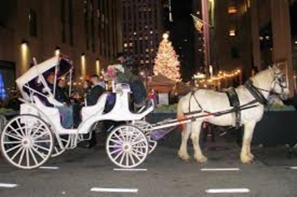 Central Park Christmas Lights Horse-Drawn Carriage Ride Gallery Image 4