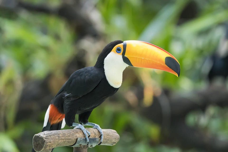 Central Park Zoo Skip-the-line Tickets & Private Transfers Gallery Image 1